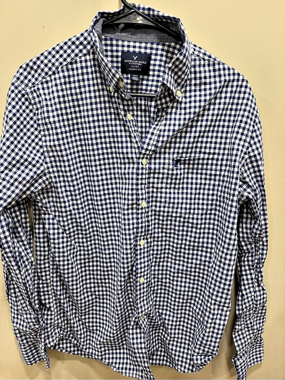 American Eagle Outfitters Classic Fit Gingham Button Down Shirt Blue & White
